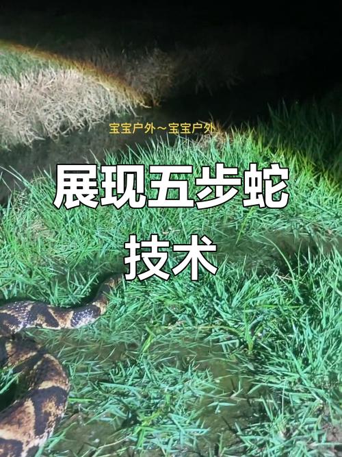 野外养蛇技术视频全集，新手能学会吗？-图2