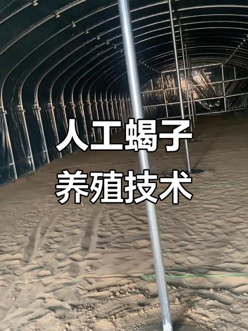 蝎子养殖技术与前景如何？-图2