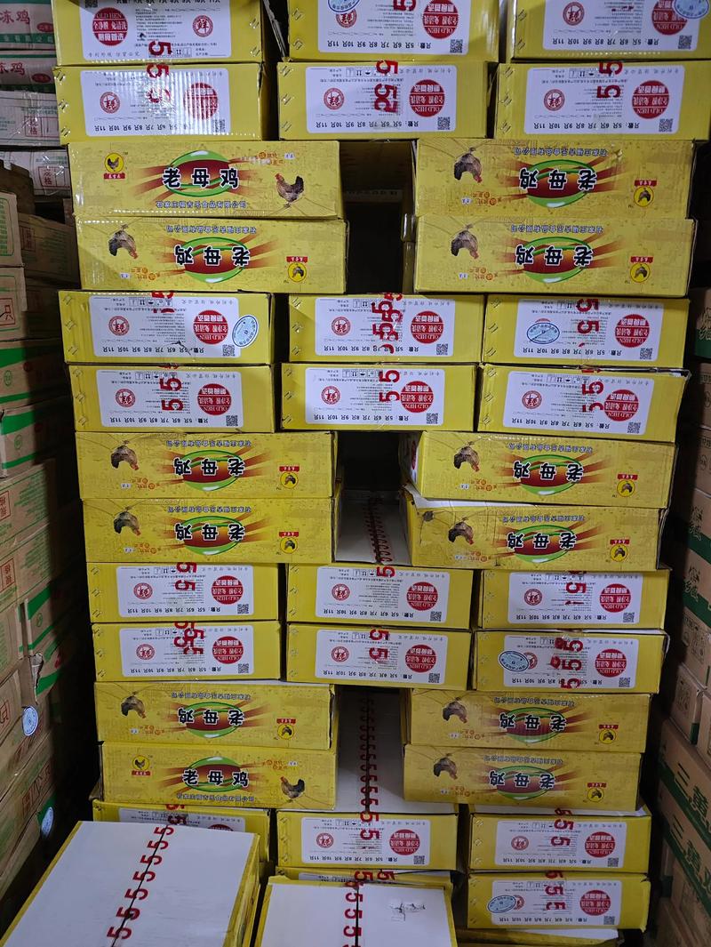 新乡817肉毛鸡价格-图2