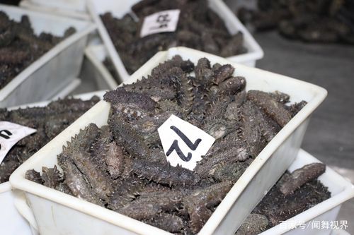 海参育苗波纹板价格多少？-图1