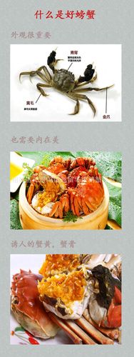 青螃蟹养殖塑料笼价格多少钱？-图3