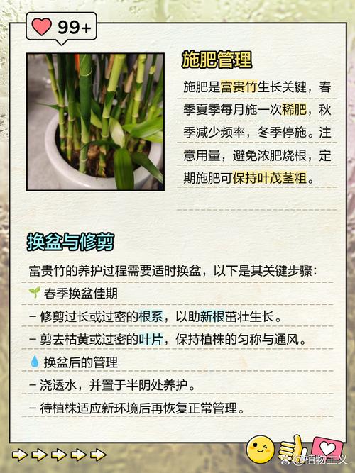 皇竹草图片 种植技术-图3