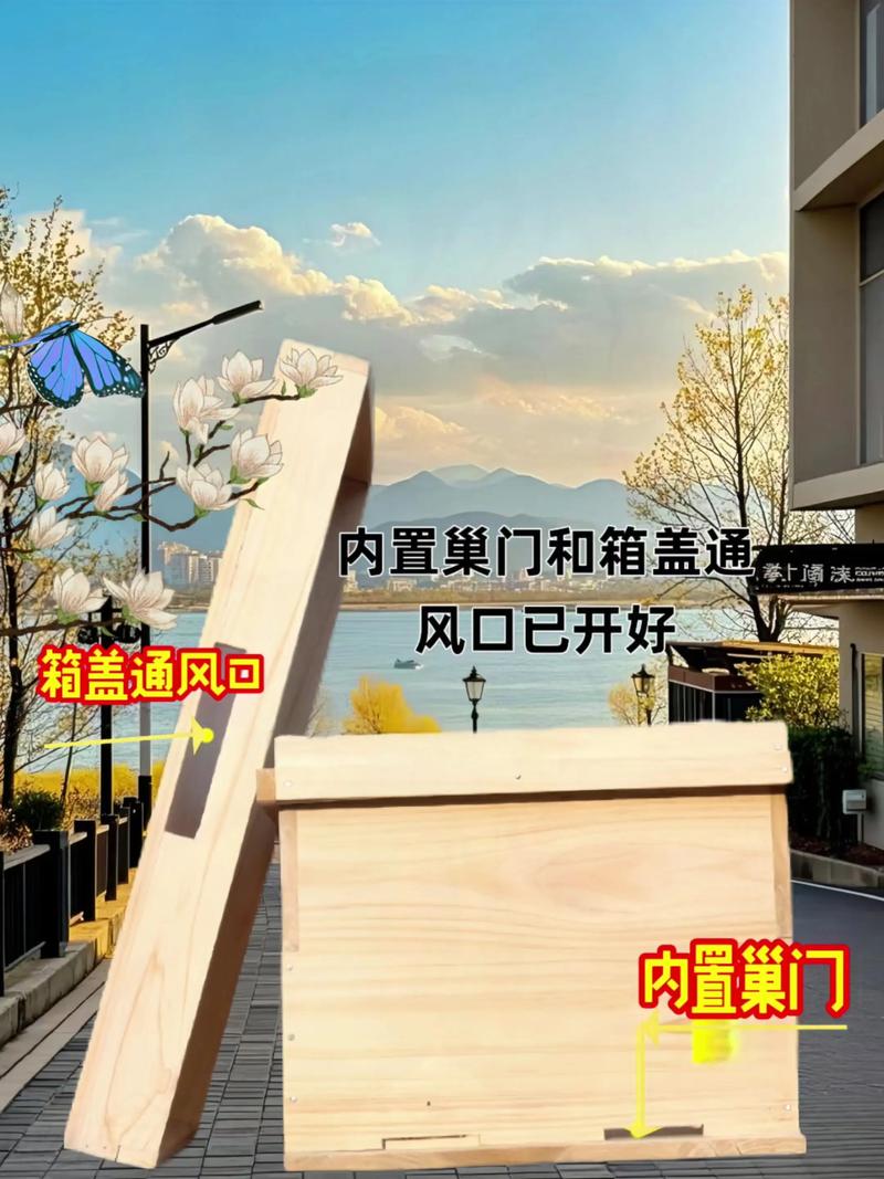 双层蜂箱养值技术视频-图3