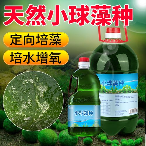 水产养殖肥水培藻价格-图1