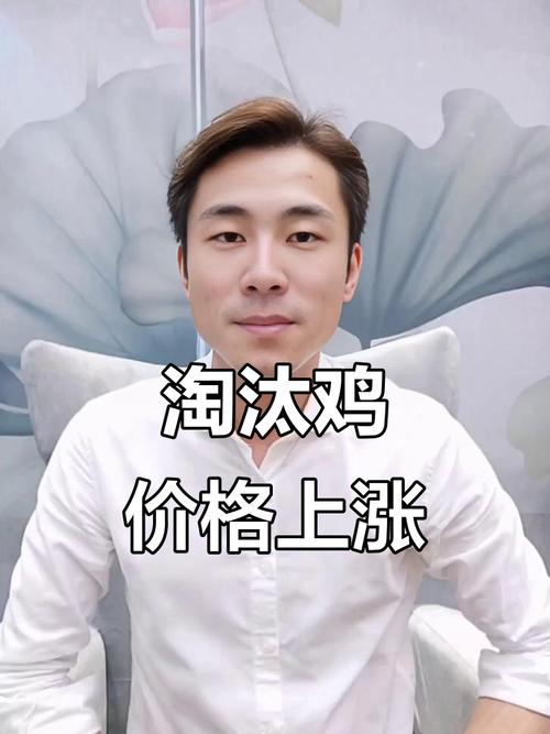 江苏淮安淘汰鸡的价格-图3