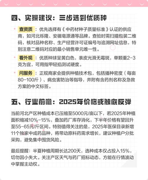 半夏价格现在多少钱？-图1