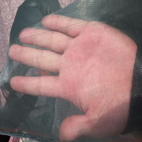 网箱养殖黄鳝技术指导-图3