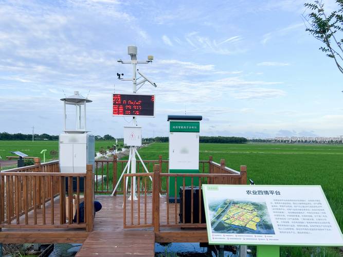 智能天地如何种草养鹅？技术要点有哪些？-图2