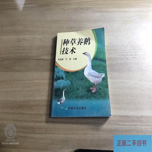 智能天地如何种草养鹅？技术要点有哪些？-图3