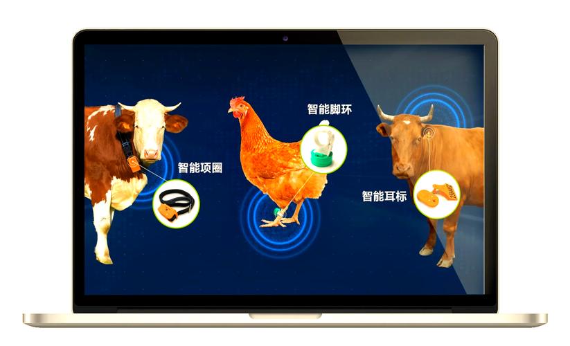 智能天地如何种草养鹅？技术要点有哪些？-图1