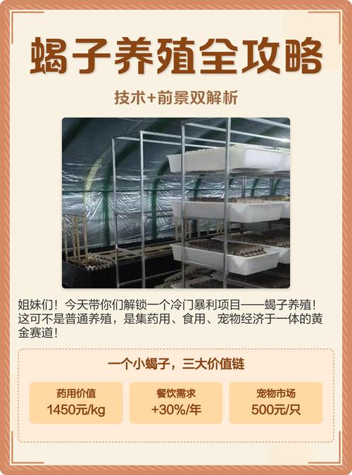 蝎子的价格与养殖技术-图1