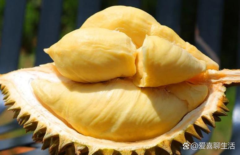 大核的榴莲是什么品种-图3