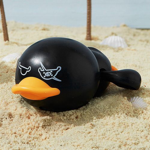 黑色小鸭子是什么品种-图2