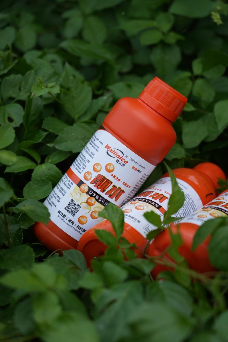 鱼塘解毒剂有那些品种-图3