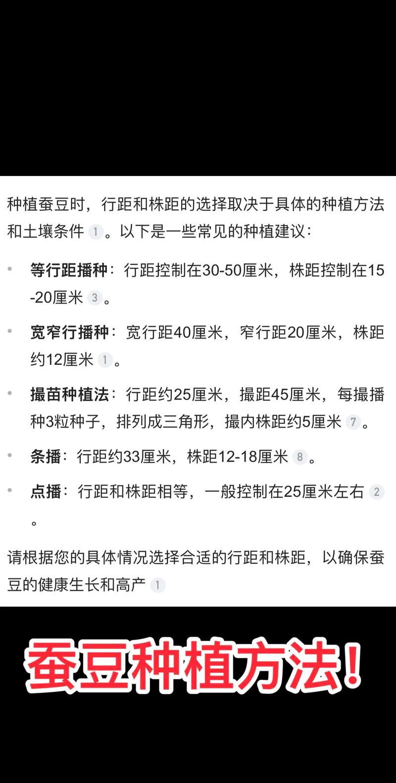 蚕豆高产施肥有哪些关键技术？-图2