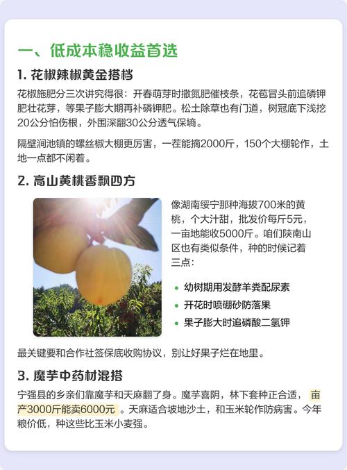 亩收益3万的种植品种-图2