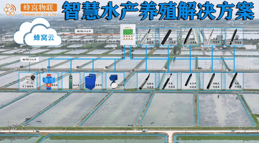 水产养殖新技术有哪些？-图3