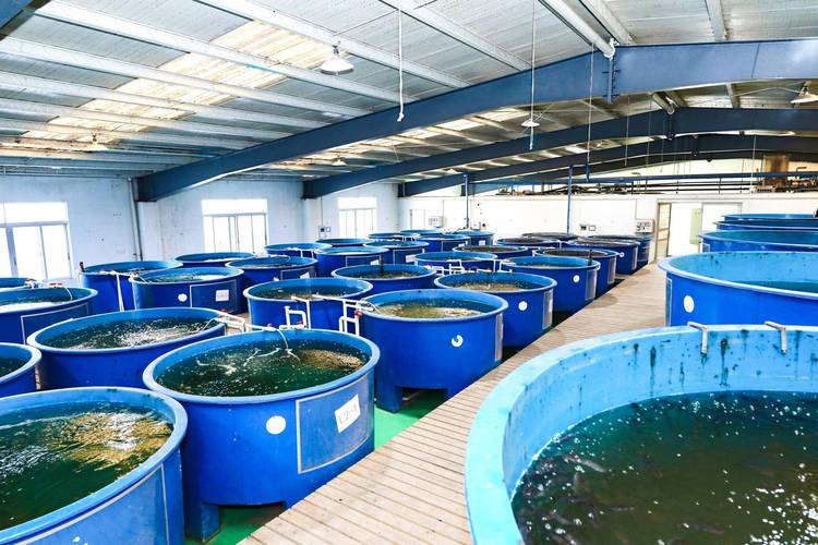 水产养殖新技术有哪些？-图1