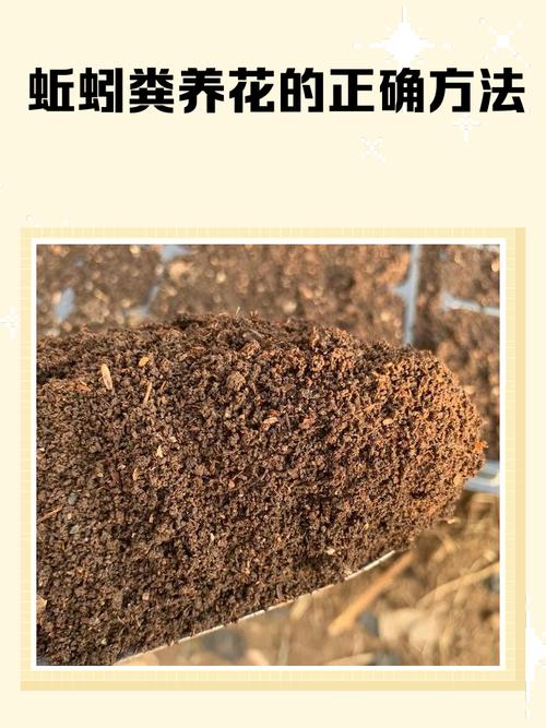 蚯蚓和猪粪的养殖技术-图1