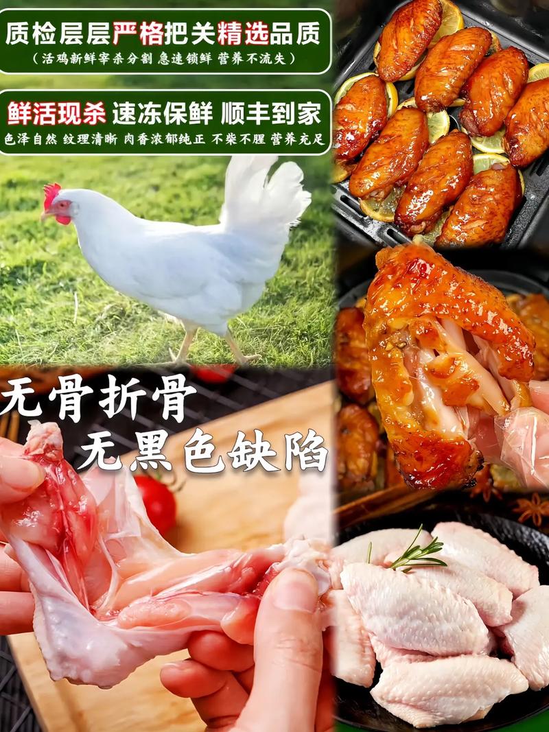 白羽种鸡什么价格行情-图3