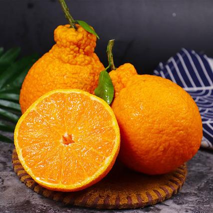 不知火行情价格现在是多少？-图3