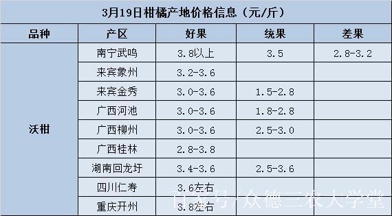 不知火行情价格现在是多少？-图2