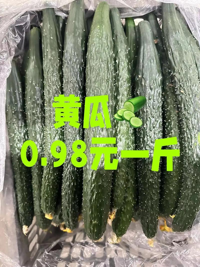 茂名地区今天肉鸡价格-图1