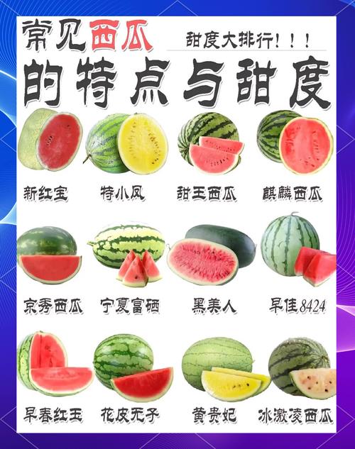西瓜在各个季节的价格-图3