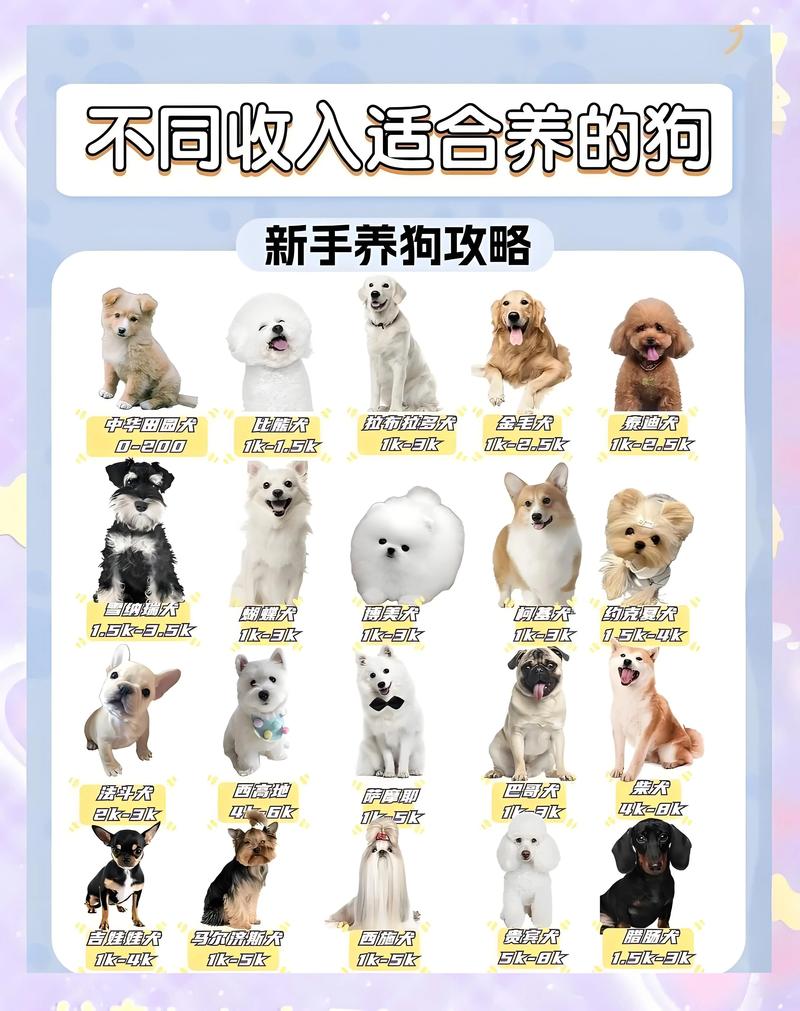 养什么品种肉食狗赚钱-图2