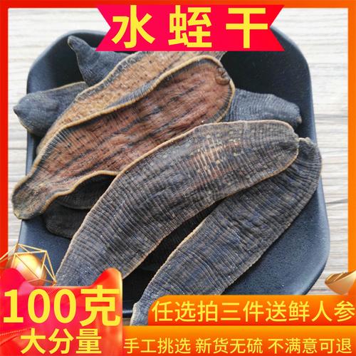 药用水蛭哪个品种更好-图2