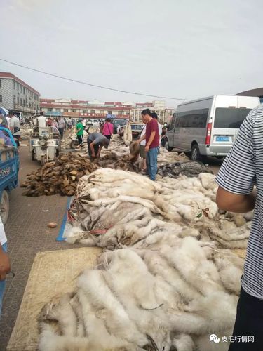 全国尚村皮毛最新价格是多少？-图2