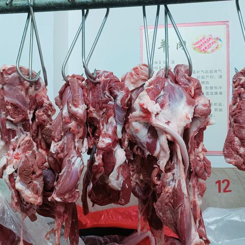 羊肉屠宰加工技术视频要点有哪些？-图1