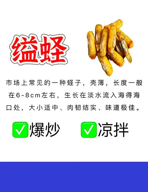 浙江缢蛏养殖价格新闻-图1