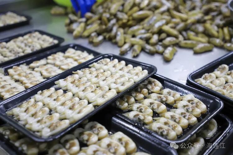 浙江缢蛏养殖价格新闻-图2