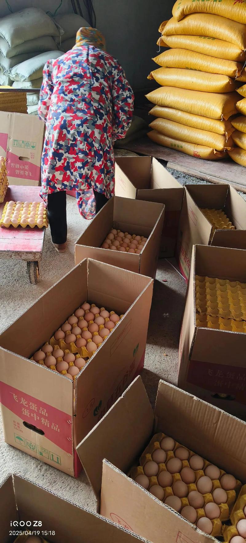 今日甘肃鸡蛋价格行情如何？-图2