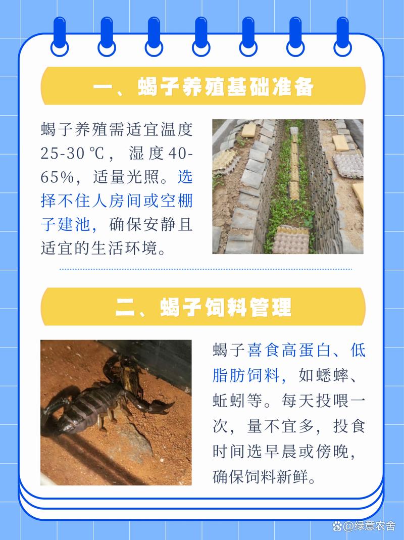 蝎子养殖技术利润分析-图2