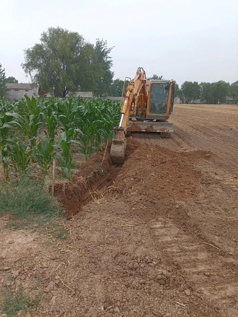 蚯蚓最新养殖技术视频有哪些要点？-图3