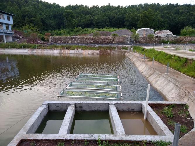 通威365底排污价格-图2