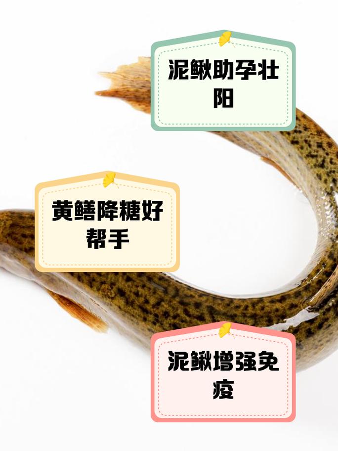 莲藕泥鳅黄鳝混养技术-图1