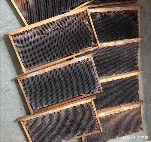 蜜蜂养殖技术 旧巢脾-图2