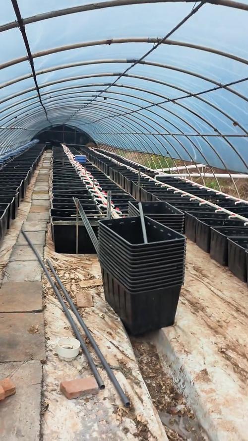 人工养殖黄鳝技术图片有哪些要点？-图2