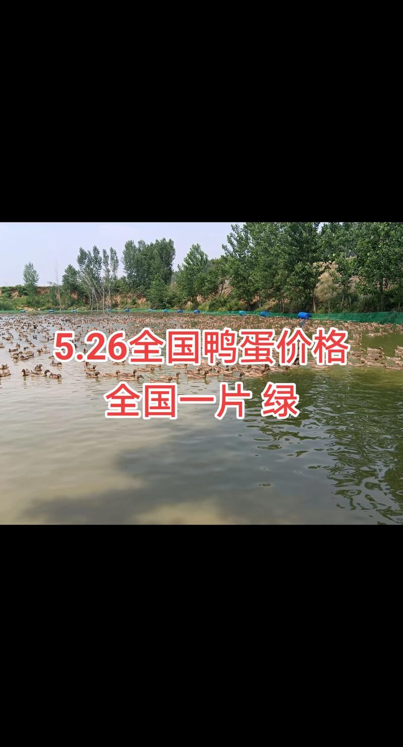 湖北各地鸭蛋价格行情-图3