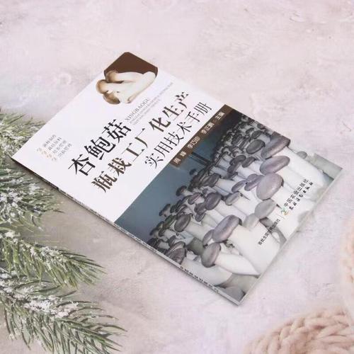 杏鲍菇种植技术与管理-图1