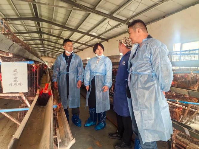 指导农户山鸡养殖技术-图3