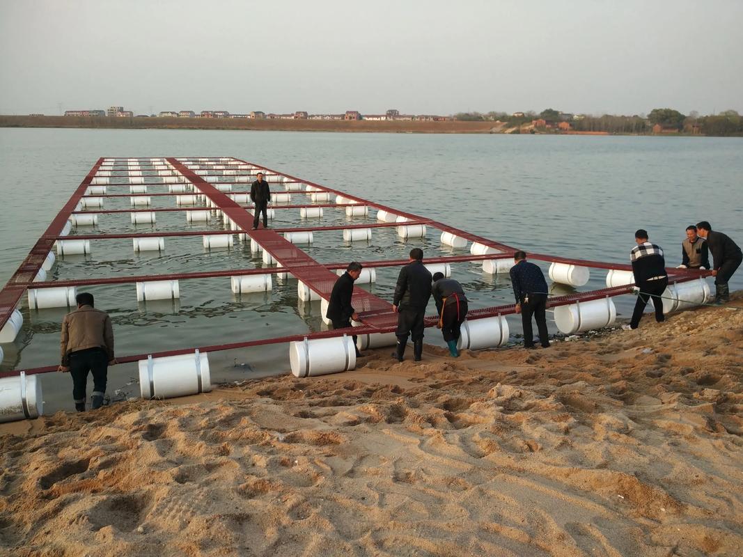 池塘网箱养罗非鱼技术要点有哪些？-图2