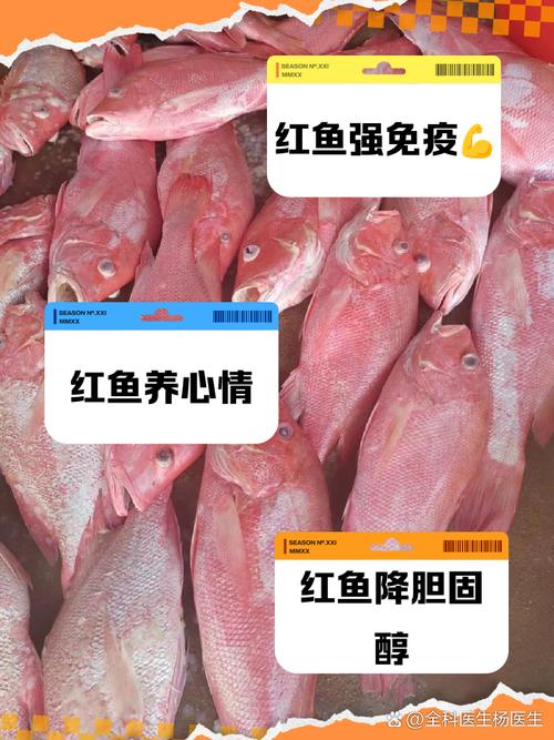 海南大红鱼腌制后价格多少？-图3