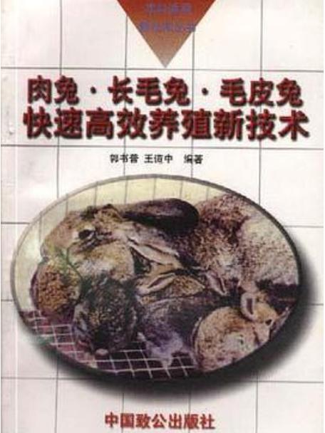肉兔养殖技术.txt-图1