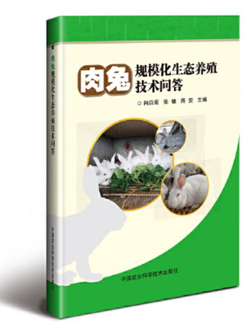 肉兔养殖技术.txt-图2