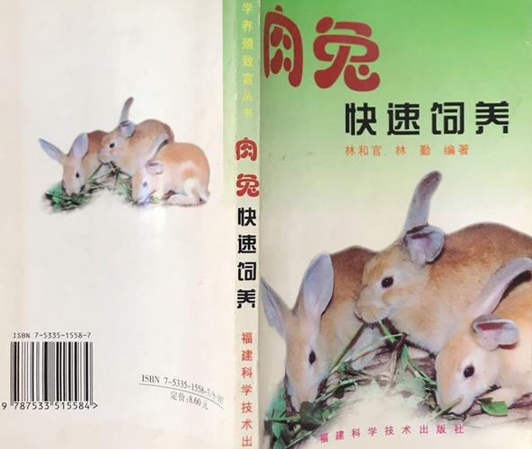 肉兔养殖技术.txt-图3