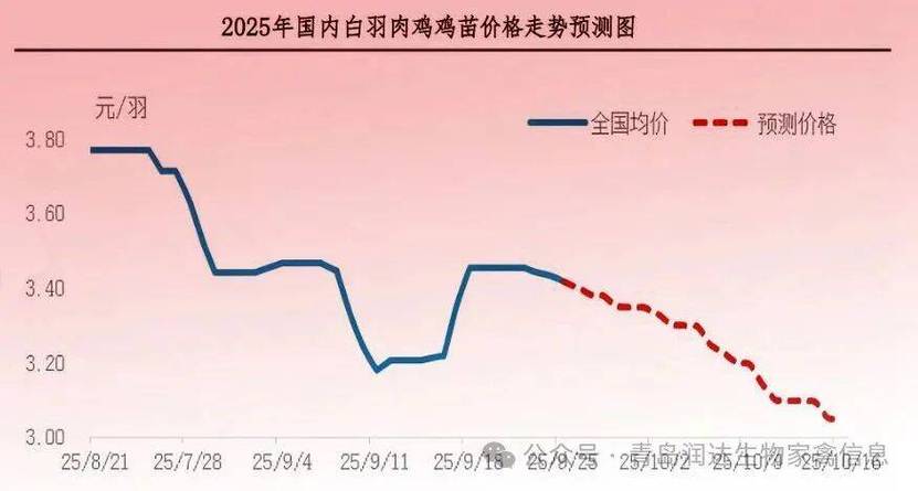 河南肉鸡价格行情走势-图2